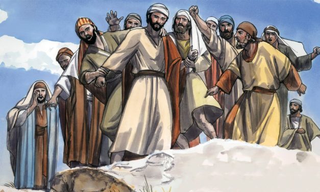 4. nedjelja kroz godinu – C
