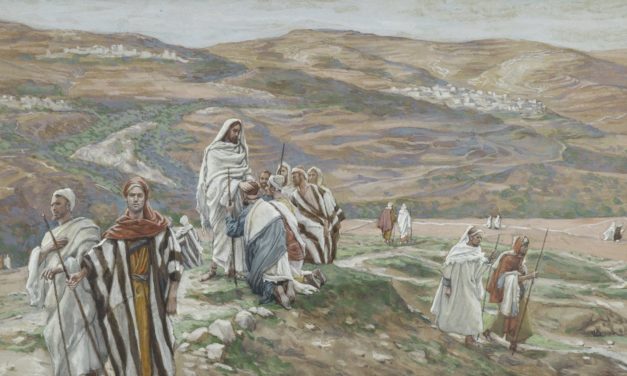 14. nedjelja kroz godinu – C