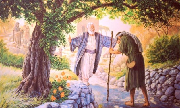 24. nedjelja kroz godinu – C