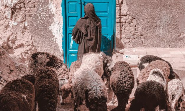 4. uskrsna nedjelja – A – Nedjelja Dobrog Pastira
